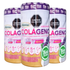 Colágeno Hidrolizado + Biotina + Resveratrol + Magnesio